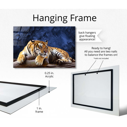 Ebern Designs Tiger Relaxing, Wildlife Photoshoot, Acrylic Plexiglass